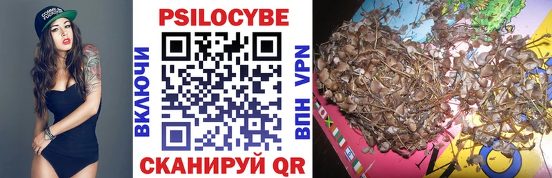 Псилоцибиновые грибы MAGIC MUSHROOMS  Купить  Сретенск 